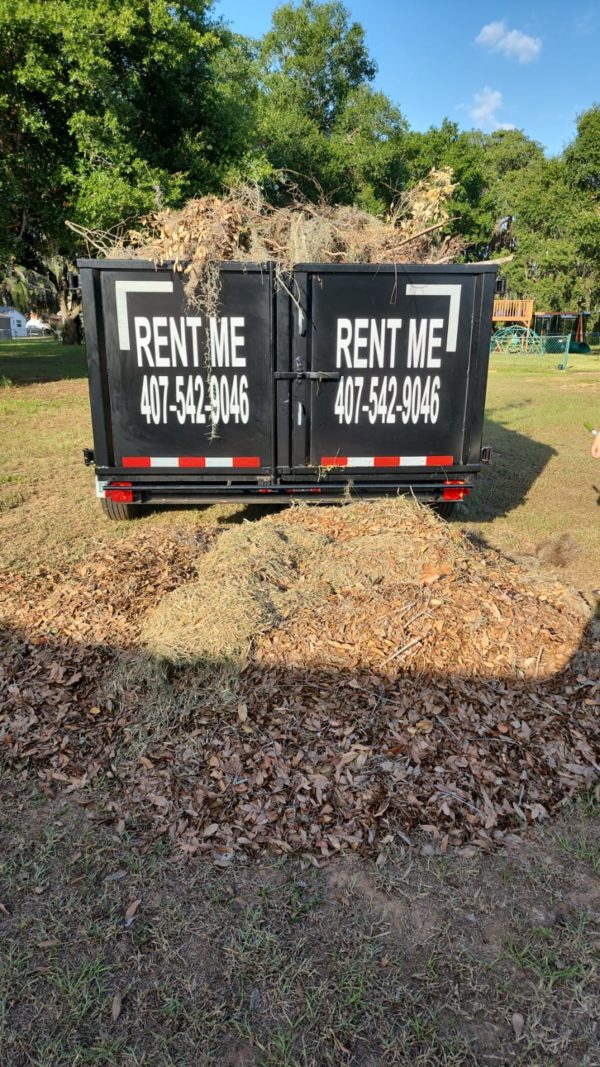 dumpsterone rental orlando